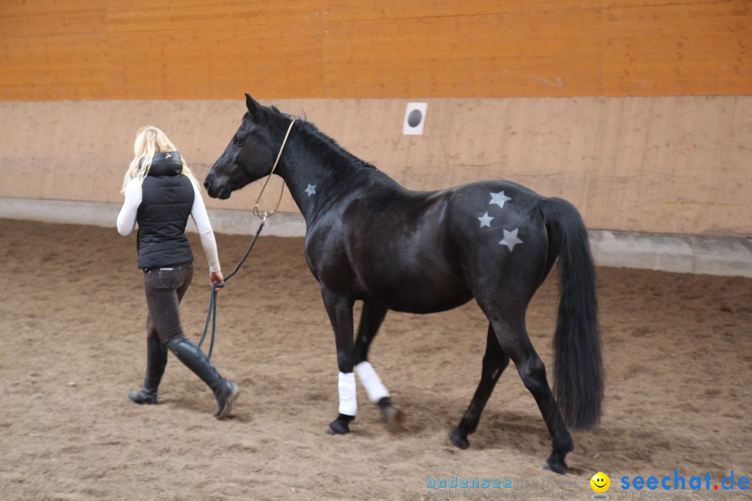 3-Koenigs-Reiten-Jettweiler-060114-BODENSEE-COMMUNITY-SEECHAT_DE-IMG_7406.JPG