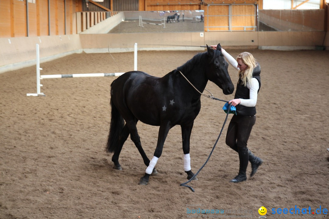 3-Koenigs-Reiten-Jettweiler-060114-BODENSEE-COMMUNITY-SEECHAT_DE-IMG_7415.JPG