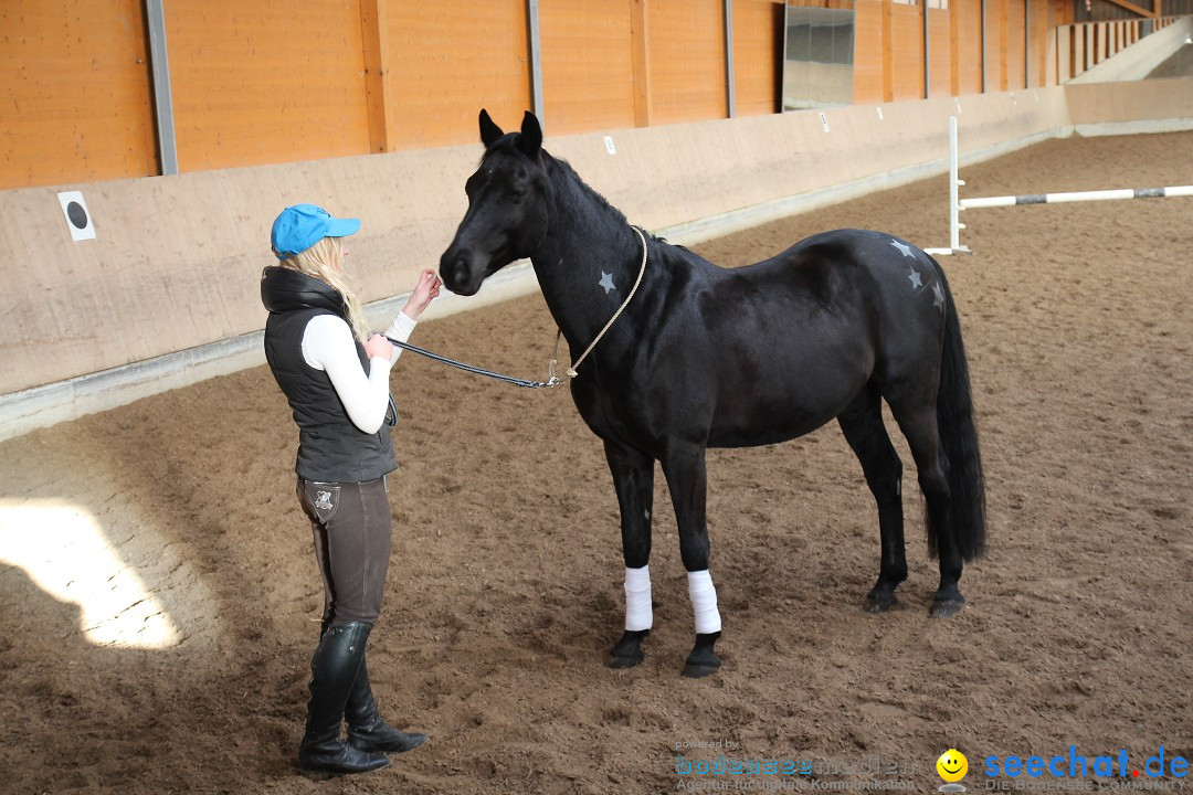 3-Koenigs-Reiten-Jettweiler-060114-BODENSEE-COMMUNITY-SEECHAT_DE-IMG_7418.JPG