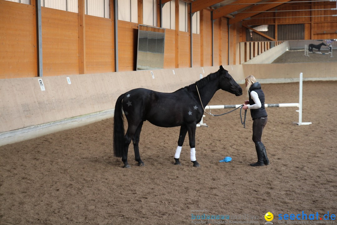 3-Koenigs-Reiten-Jettweiler-060114-BODENSEE-COMMUNITY-SEECHAT_DE-IMG_7423.JPG