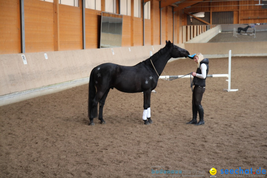 3-Koenigs-Reiten-Jettweiler-060114-BODENSEE-COMMUNITY-SEECHAT_DE-IMG_7424.JPG