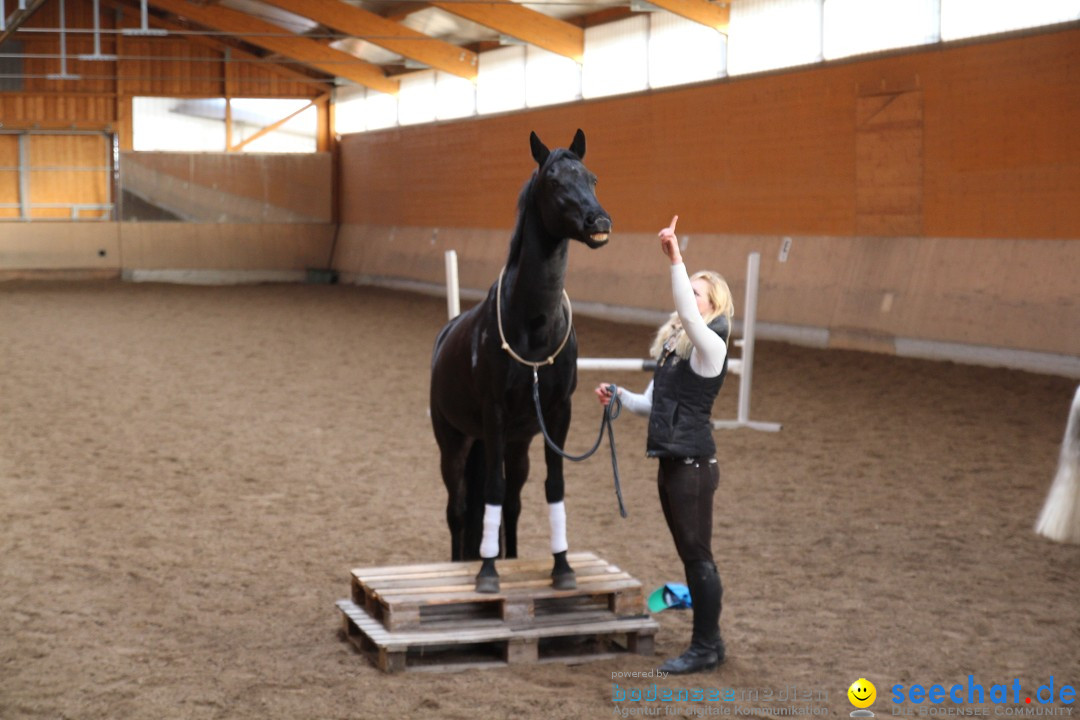 3-Koenigs-Reiten-Jettweiler-060114-BODENSEE-COMMUNITY-SEECHAT_DE-IMG_7425.JPG