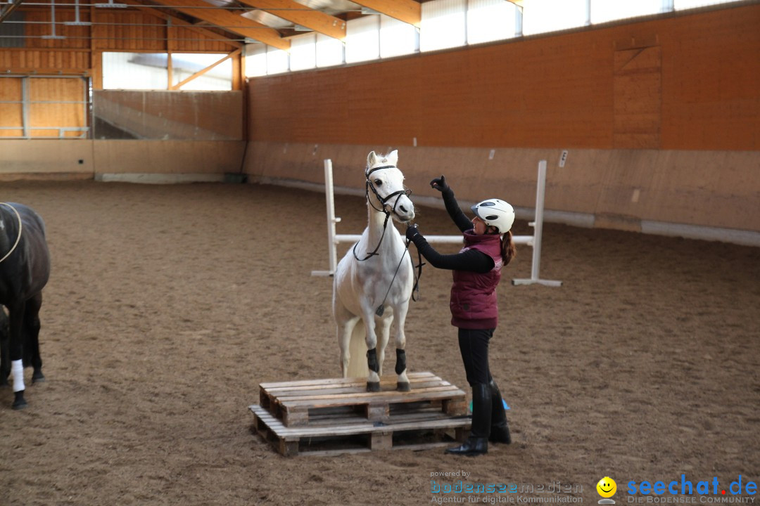 3-Koenigs-Reiten-Jettweiler-060114-BODENSEE-COMMUNITY-SEECHAT_DE-IMG_7426.JPG