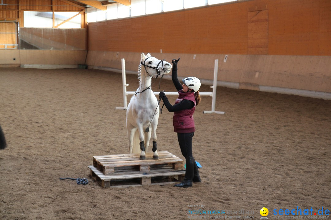 3-Koenigs-Reiten-Jettweiler-060114-BODENSEE-COMMUNITY-SEECHAT_DE-IMG_7428.JPG