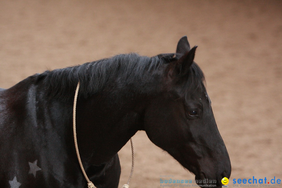 3-Koenigs-Reiten-Jettweiler-060114-BODENSEE-COMMUNITY-SEECHAT_DE-IMG_8284.JPG