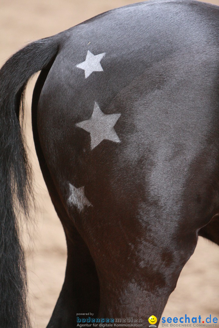 3-Koenigs-Reiten-Jettweiler-060114-BODENSEE-COMMUNITY-SEECHAT_DE-IMG_8285.JPG