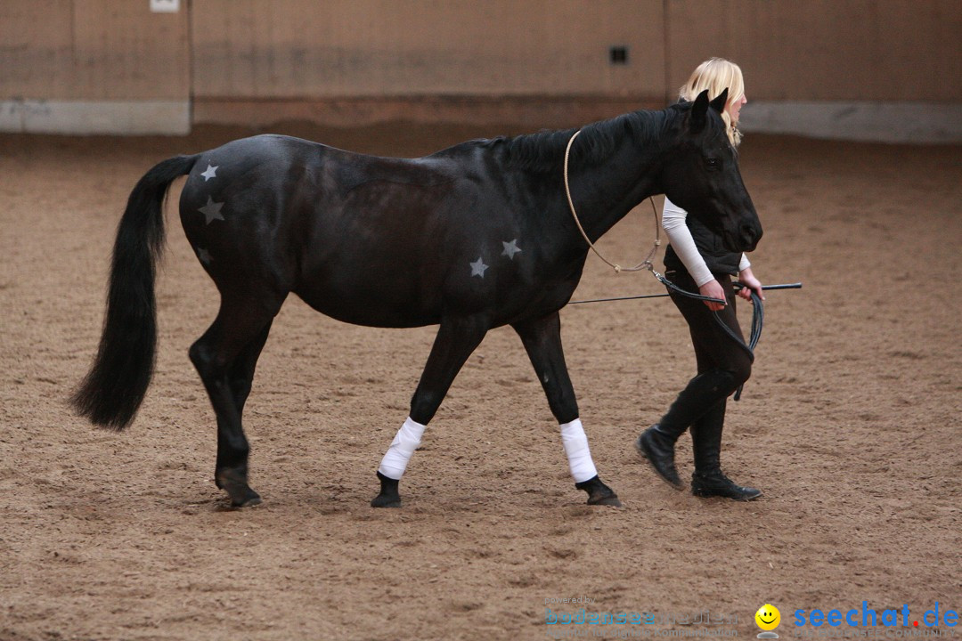 3-Koenigs-Reiten-Jettweiler-060114-BODENSEE-COMMUNITY-SEECHAT_DE-IMG_8287.JPG