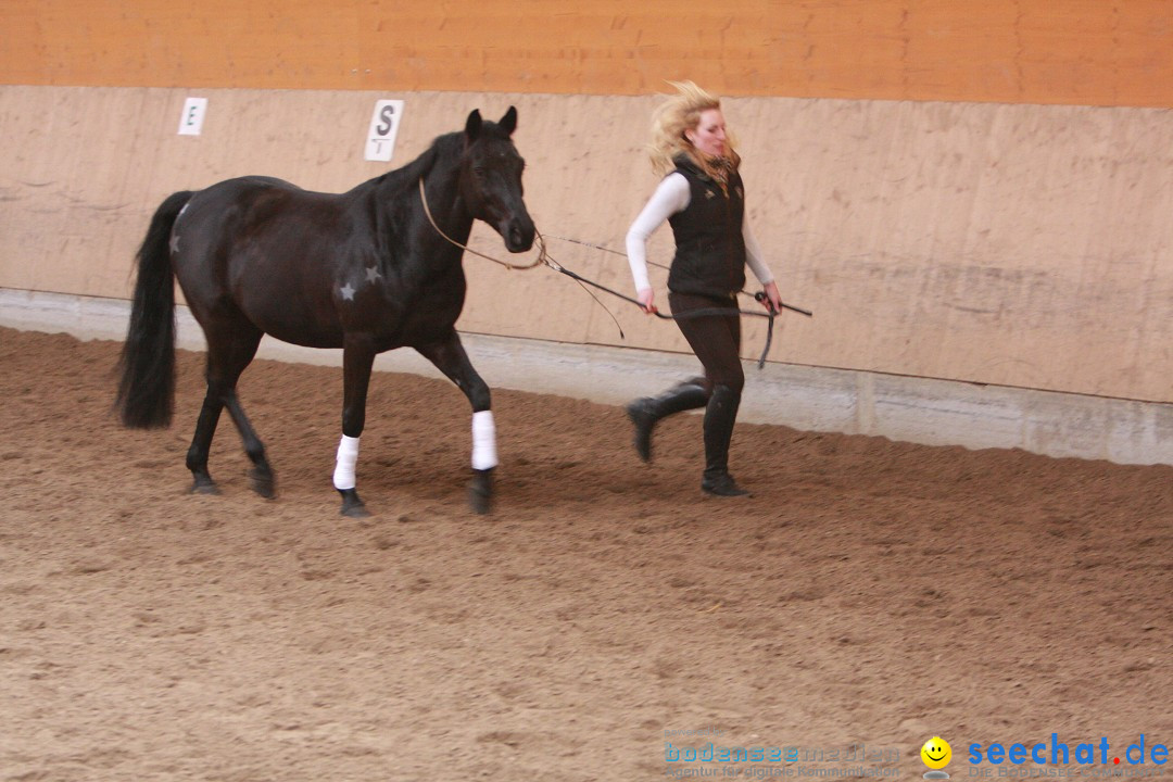 3-Koenigs-Reiten-Jettweiler-060114-BODENSEE-COMMUNITY-SEECHAT_DE-IMG_8291.JPG