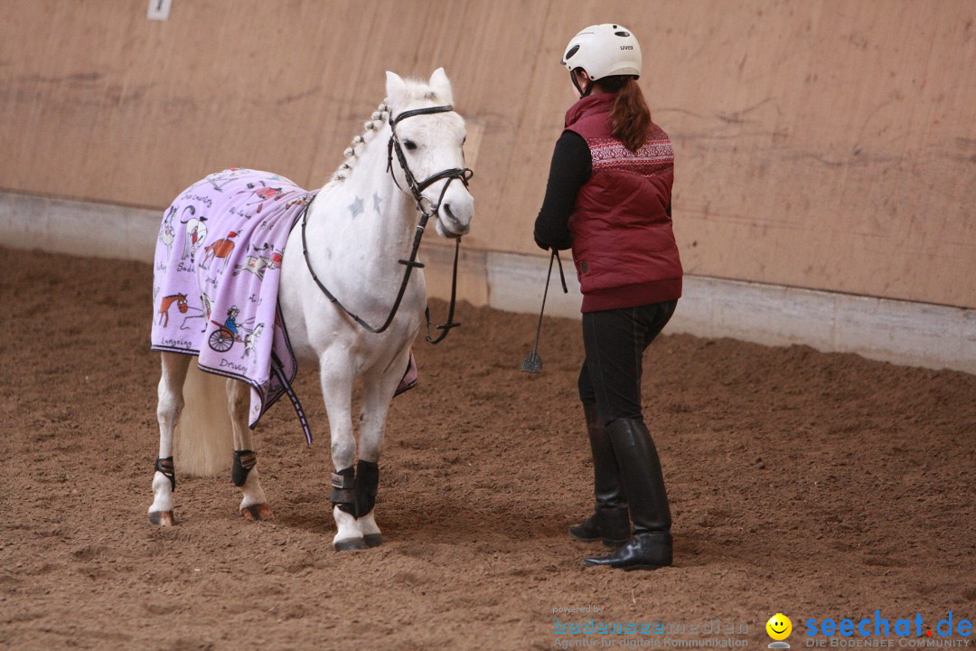 3-Koenigs-Reiten-Jettweiler-060114-BODENSEE-COMMUNITY-SEECHAT_DE-IMG_8293.JPG