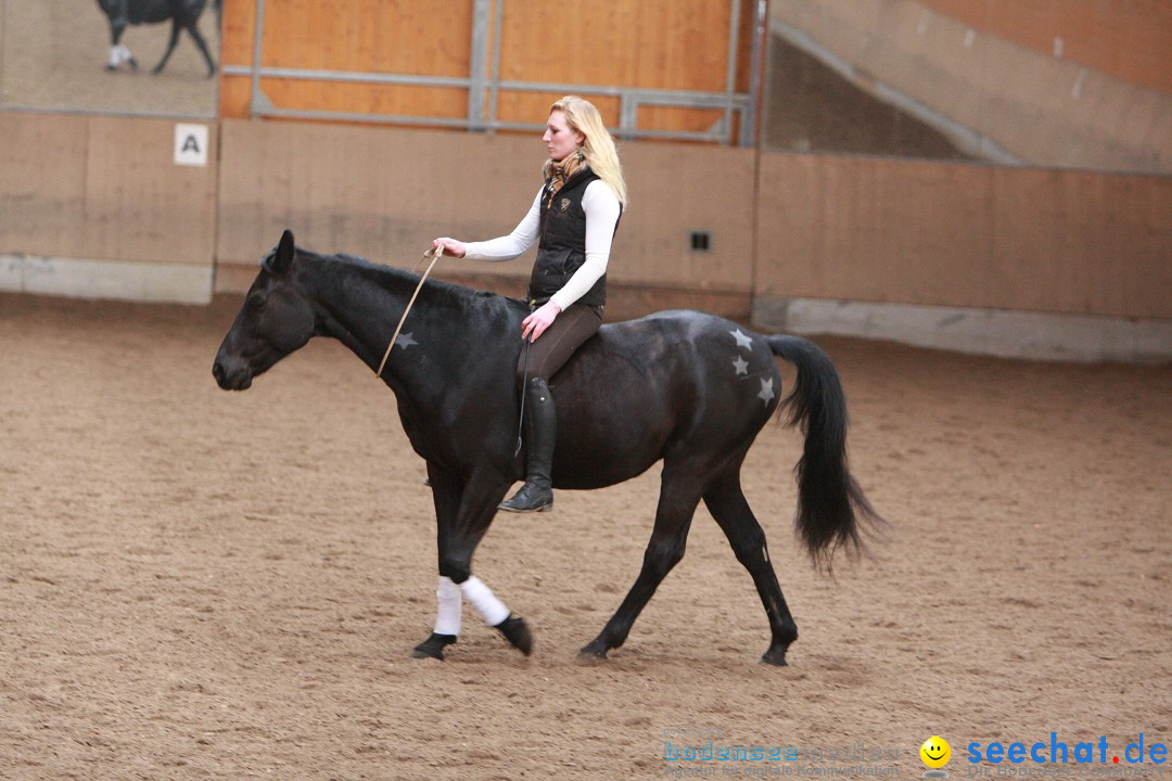 3-Koenigs-Reiten-Jettweiler-060114-BODENSEE-COMMUNITY-SEECHAT_DE-IMG_8311.JPG