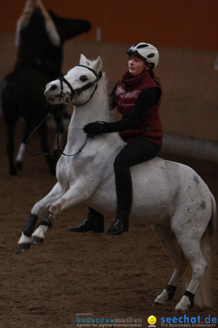 3-Koenigs-Reiten-Jettweiler-060114-BODENSEE-COMMUNITY-SEECHAT_DE-IMG_8317.JPG