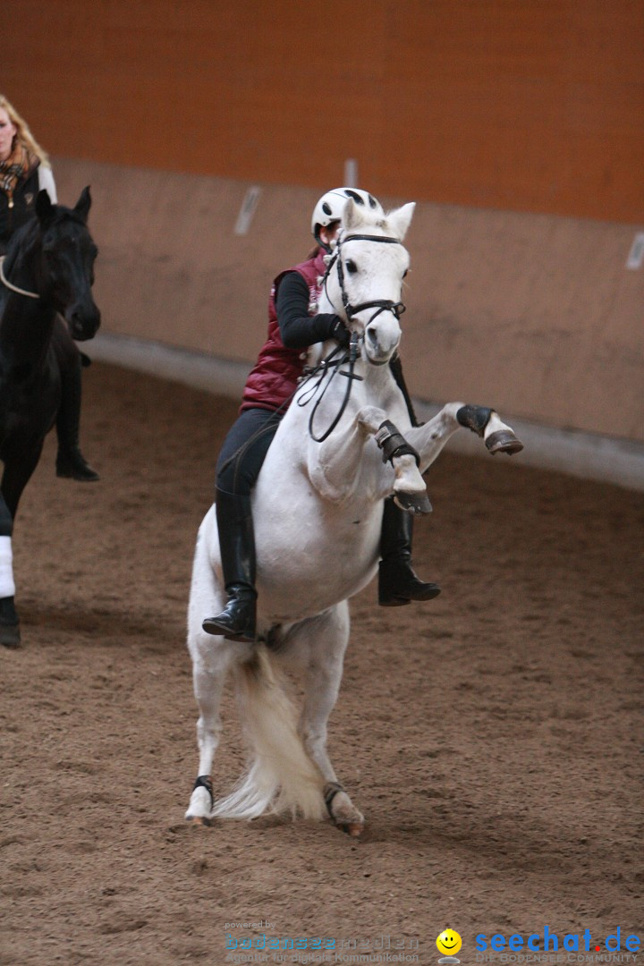 3-Koenigs-Reiten-Jettweiler-060114-BODENSEE-COMMUNITY-SEECHAT_DE-IMG_8318.JPG