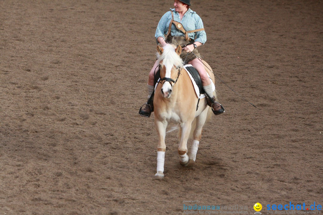 3-Koenigs-Reiten-Jettweiler-060114-BODENSEE-COMMUNITY-SEECHAT_DE-IMG_8335.JPG