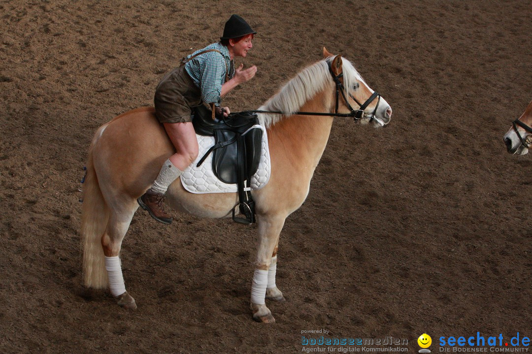 3-Koenigs-Reiten-Jettweiler-060114-BODENSEE-COMMUNITY-SEECHAT_DE-IMG_8452.JPG