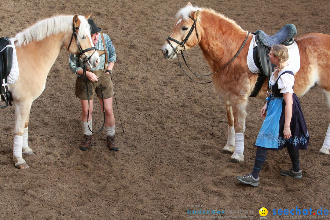 3-Koenigs-Reiten-Jettweiler-060114-BODENSEE-COMMUNITY-SEECHAT_DE-IMG_8476.JPG