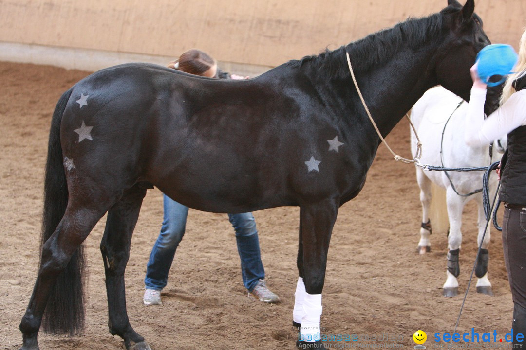 3-Koenigs-Reiten-Jettweiler-060114-BODENSEE-COMMUNITY-SEECHAT_DE-IMG_8487.JPG