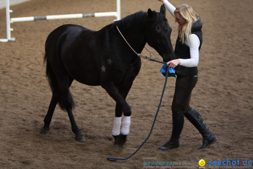 3-Koenigs-Reiten-Jettweiler-060114-BODENSEE-COMMUNITY-SEECHAT_DE-IMG_8504.JPG