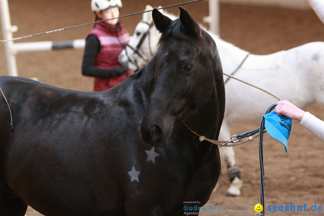 3-Koenigs-Reiten-Jettweiler-060114-BODENSEE-COMMUNITY-SEECHAT_DE-IMG_8508.JPG