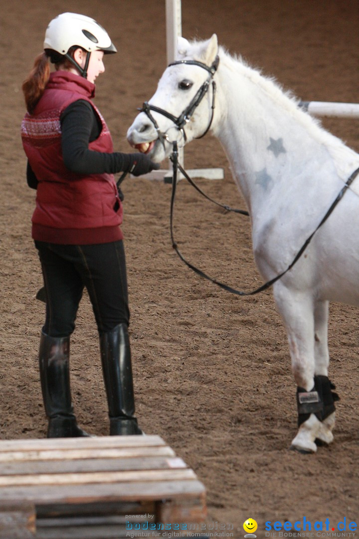 3-Koenigs-Reiten-Jettweiler-060114-BODENSEE-COMMUNITY-SEECHAT_DE-IMG_8511.JPG