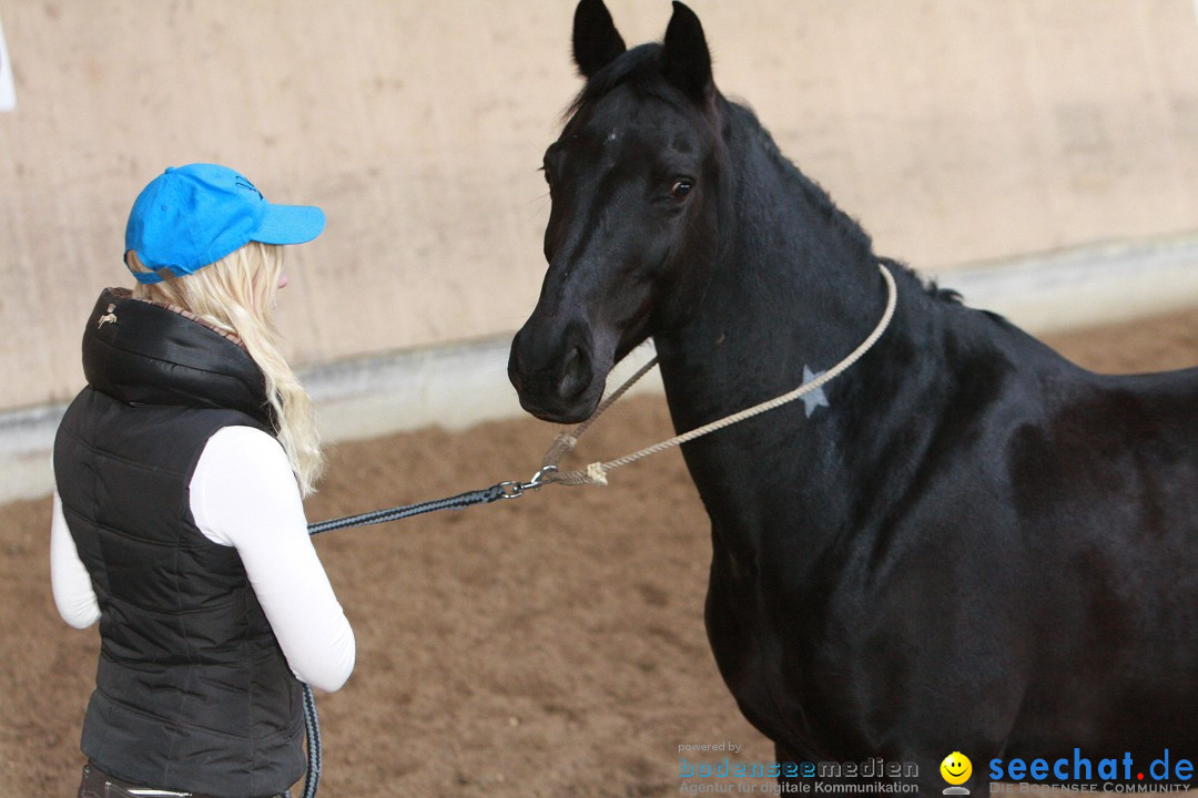 3-Koenigs-Reiten-Jettweiler-060114-BODENSEE-COMMUNITY-SEECHAT_DE-IMG_8514.JPG