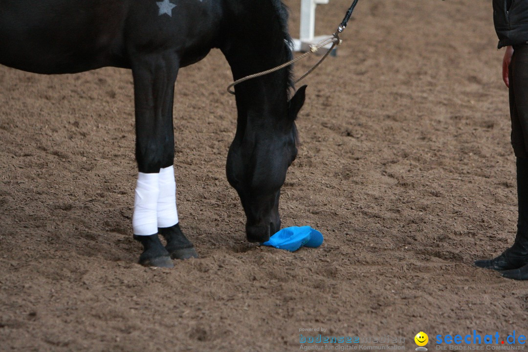 3-Koenigs-Reiten-Jettweiler-060114-BODENSEE-COMMUNITY-SEECHAT_DE-IMG_8523.JPG