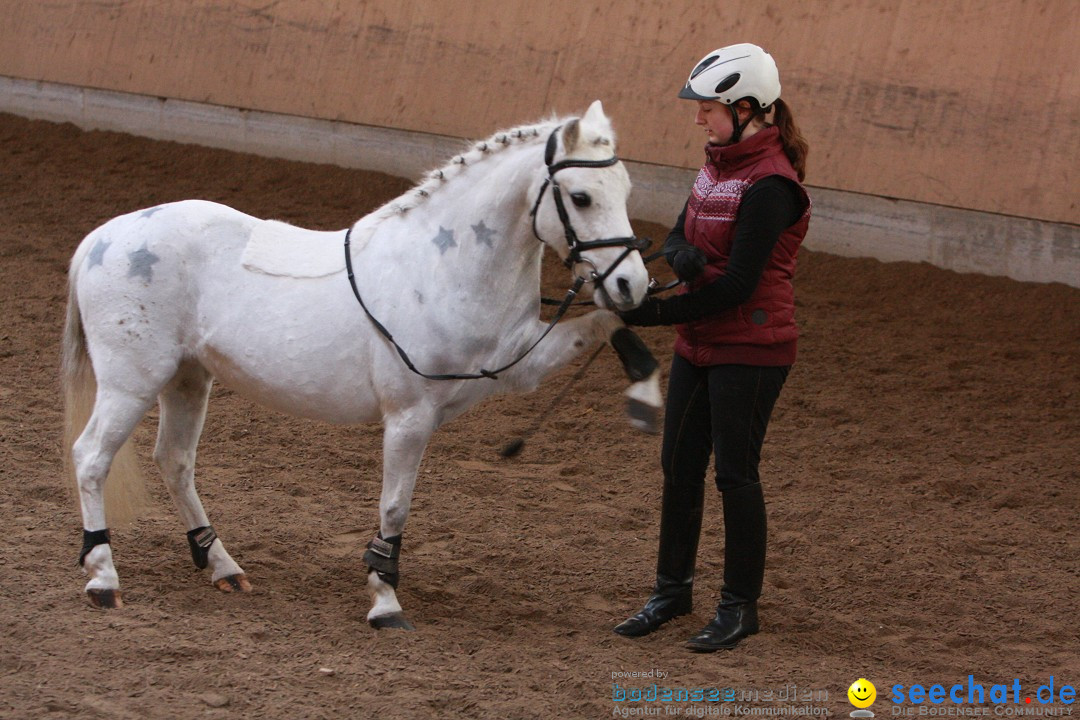 3-Koenigs-Reiten-Jettweiler-060114-BODENSEE-COMMUNITY-SEECHAT_DE-IMG_8530.JPG