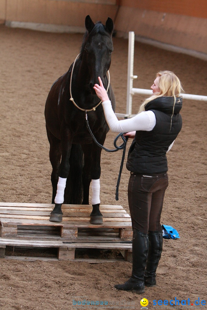 3-Koenigs-Reiten-Jettweiler-060114-BODENSEE-COMMUNITY-SEECHAT_DE-IMG_8533.JPG