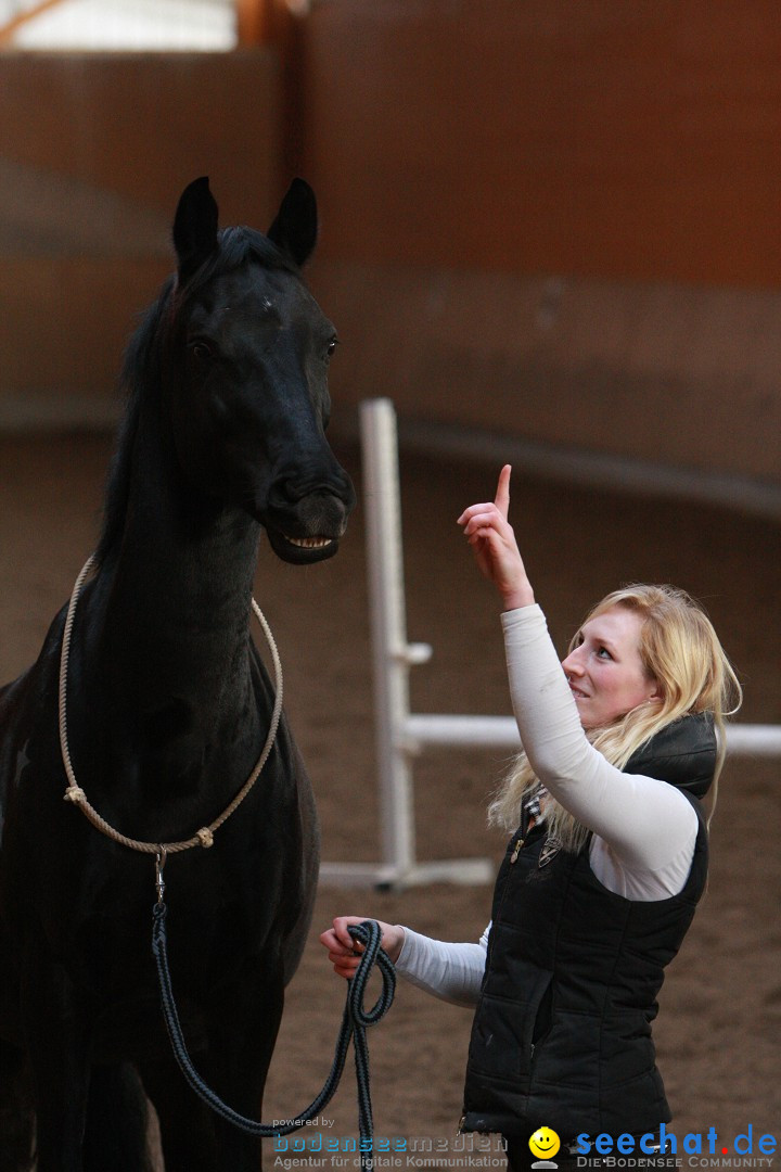 3-Koenigs-Reiten-Jettweiler-060114-BODENSEE-COMMUNITY-SEECHAT_DE-IMG_8544.JPG