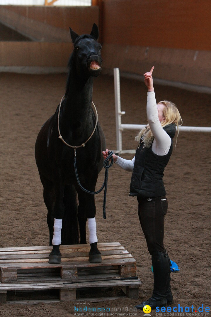 3-Koenigs-Reiten-Jettweiler-060114-BODENSEE-COMMUNITY-SEECHAT_DE-IMG_8546.JPG