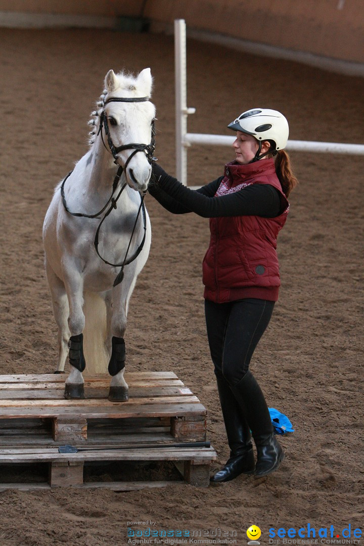 3-Koenigs-Reiten-Jettweiler-060114-BODENSEE-COMMUNITY-SEECHAT_DE-IMG_8554.JPG