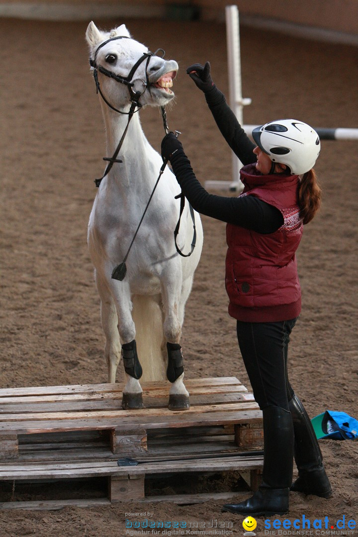 3-Koenigs-Reiten-Jettweiler-060114-BODENSEE-COMMUNITY-SEECHAT_DE-IMG_8555.JPG