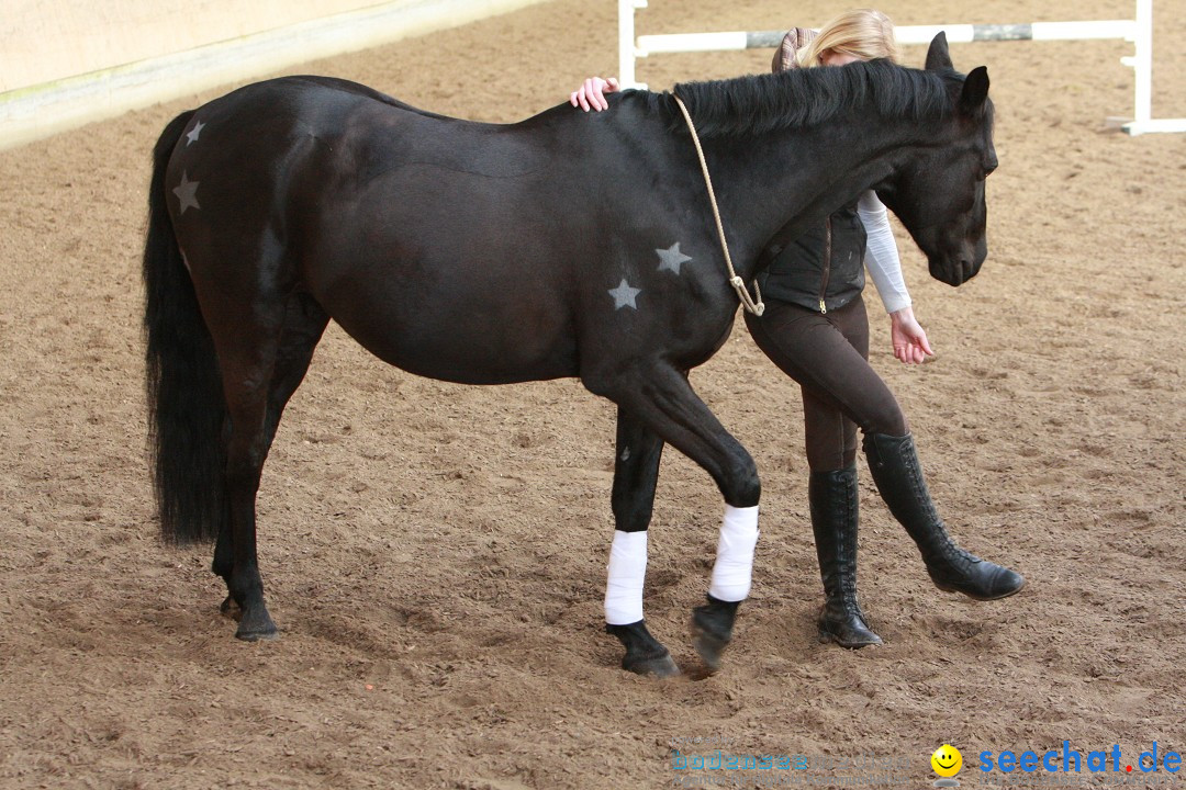 3-Koenigs-Reiten-Jettweiler-060114-BODENSEE-COMMUNITY-SEECHAT_DE-IMG_8567.JPG