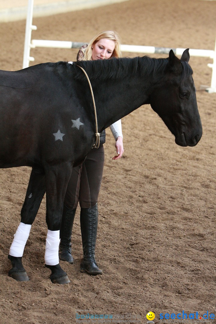 3-Koenigs-Reiten-Jettweiler-060114-BODENSEE-COMMUNITY-SEECHAT_DE-IMG_8572.JPG