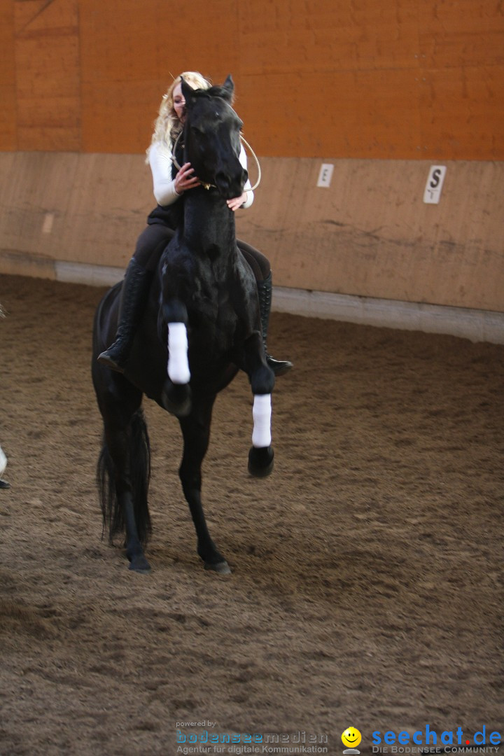 3-Koenigs-Reiten-Jettweiler-060114-BODENSEE-COMMUNITY-SEECHAT_DE-IMG_8631.JPG