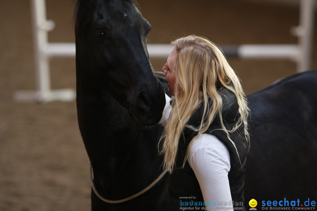 3-Koenigs-Reiten-Jettweiler-060114-BODENSEE-COMMUNITY-SEECHAT_DE-IMG_8650.JPG