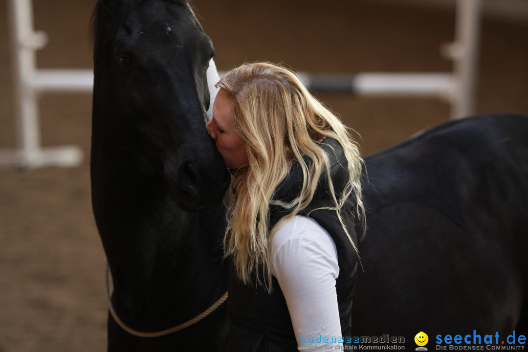 X1-3-Koenigs-Reiten-Jettweiler-060114-BODENSEE-COMMUNITY-SEECHAT_DE-IMG_8339.JPG