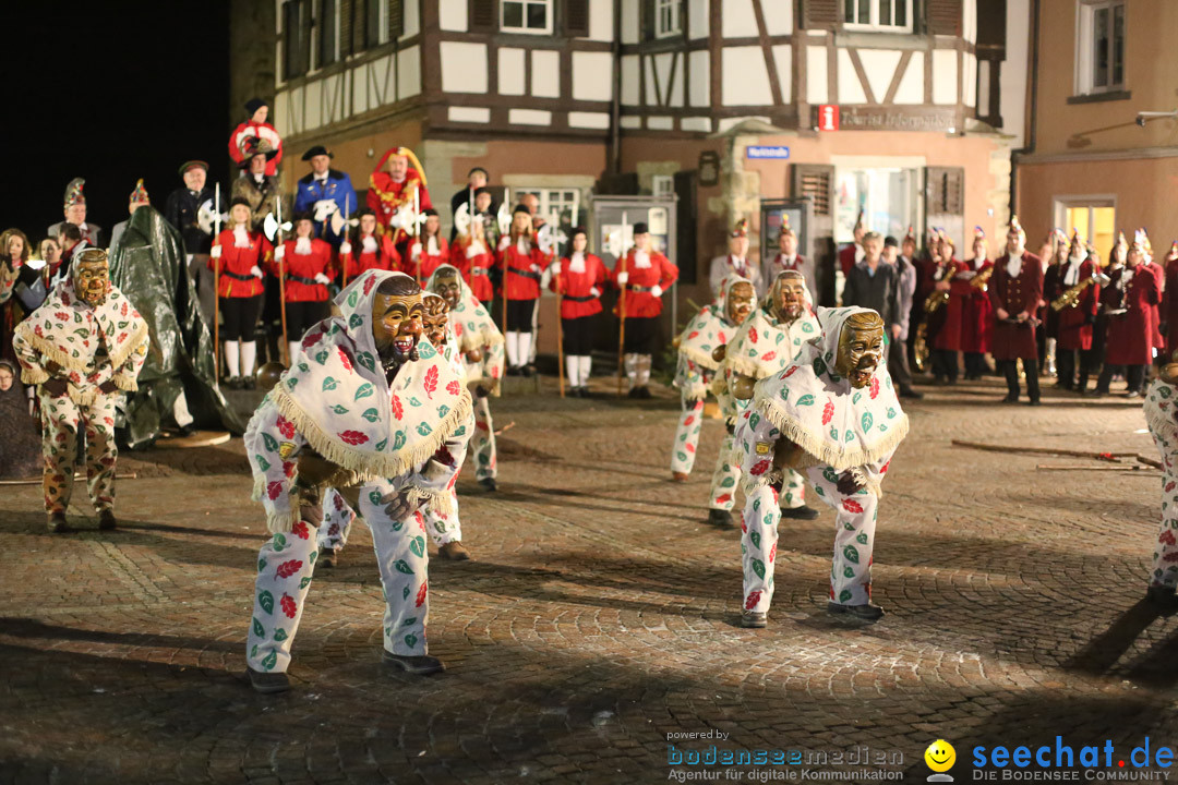 Narrenweckruf: Markdorf am Bodensee, 06.01.2014