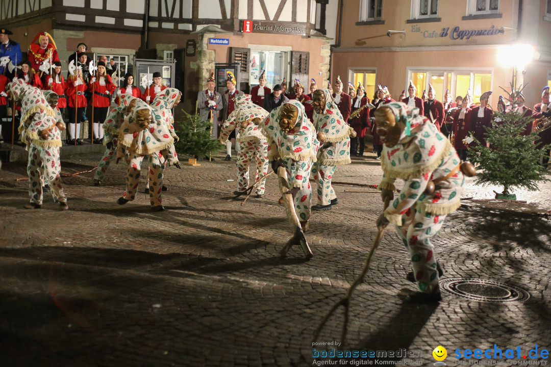 Narrenweckruf: Markdorf am Bodensee, 06.01.2014