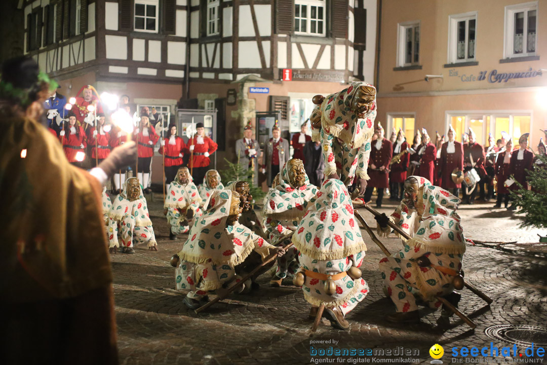 Narrenweckruf: Markdorf am Bodensee, 06.01.2014