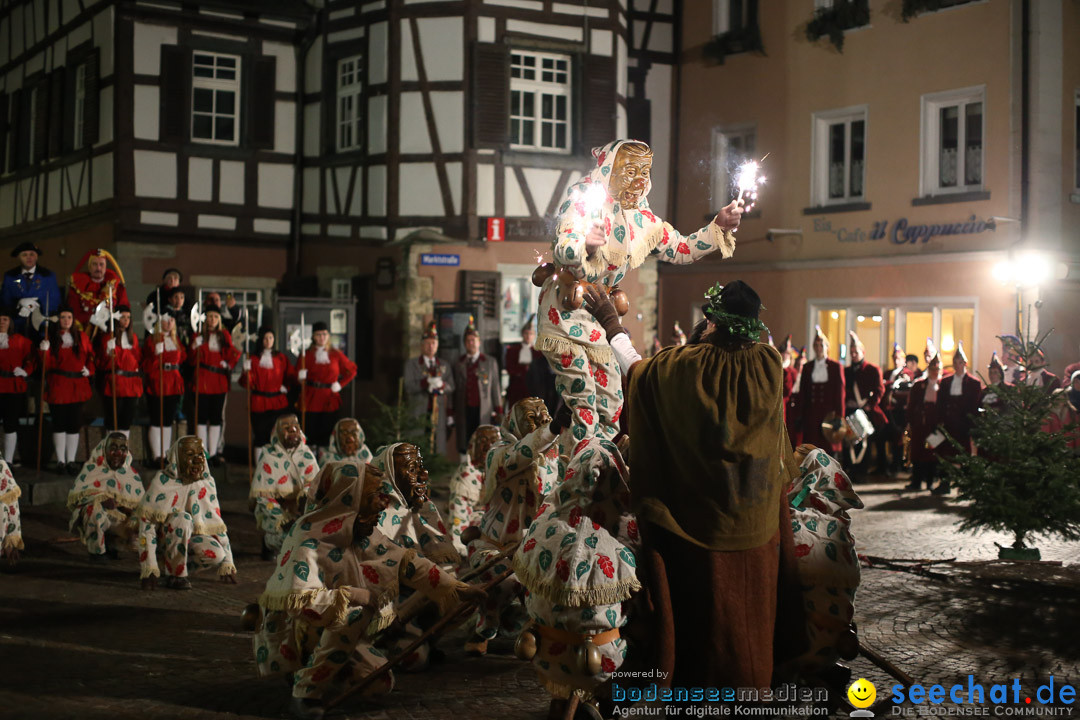 Narrenweckruf: Markdorf am Bodensee, 06.01.2014