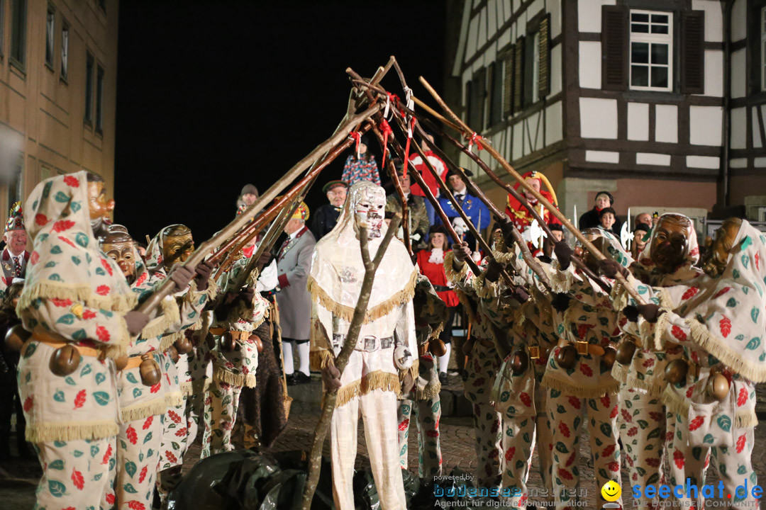 Narrenweckruf: Markdorf am Bodensee, 06.01.2014