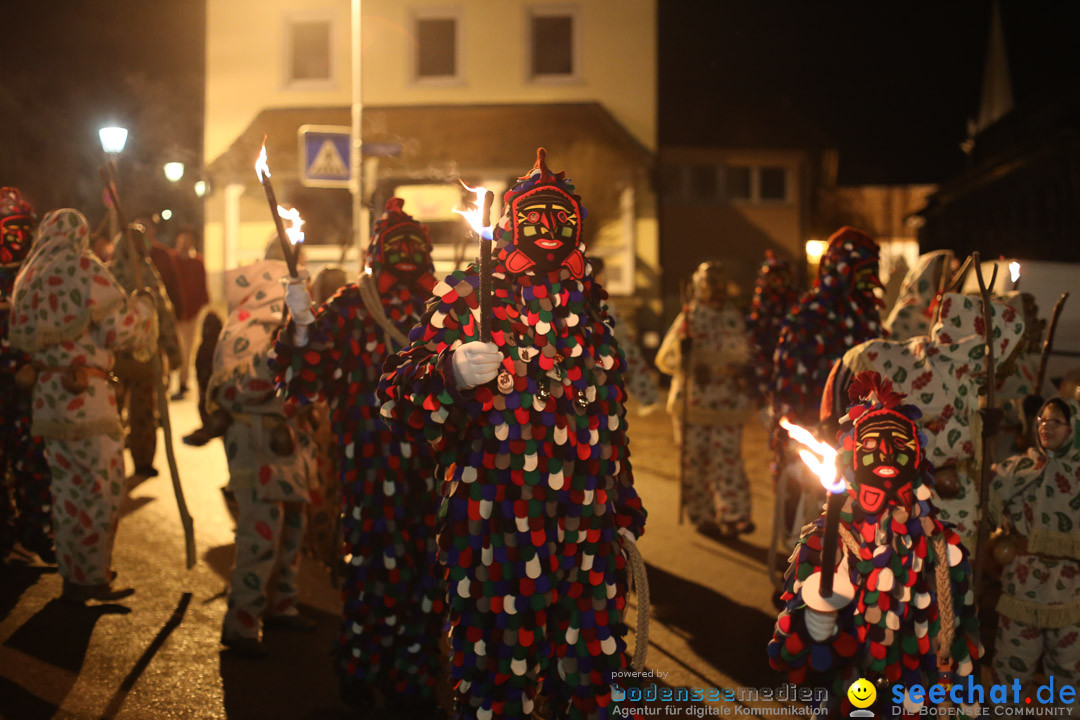 Narrenweckruf: Markdorf am Bodensee, 06.01.2014