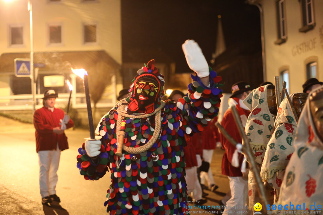 Narrenweckruf: Markdorf am Bodensee, 06.01.2014