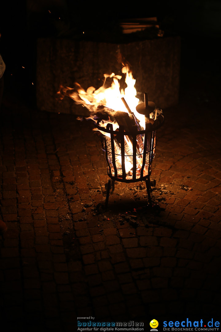 Narrenweckruf: Markdorf am Bodensee, 06.01.2014