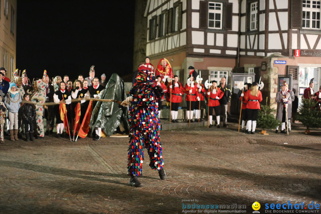 Narrenweckruf: Markdorf am Bodensee, 06.01.2014