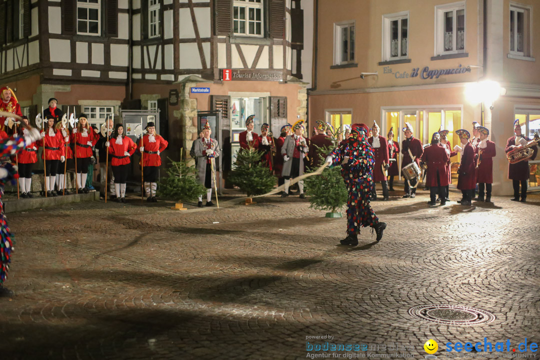 Narrenweckruf: Markdorf am Bodensee, 06.01.2014