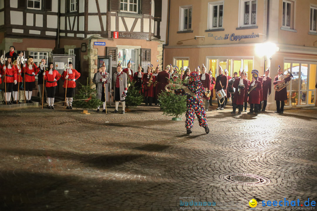 Narrenweckruf: Markdorf am Bodensee, 06.01.2014