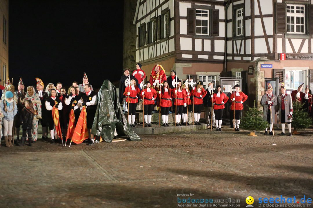 Narrenweckruf: Markdorf am Bodensee, 06.01.2014