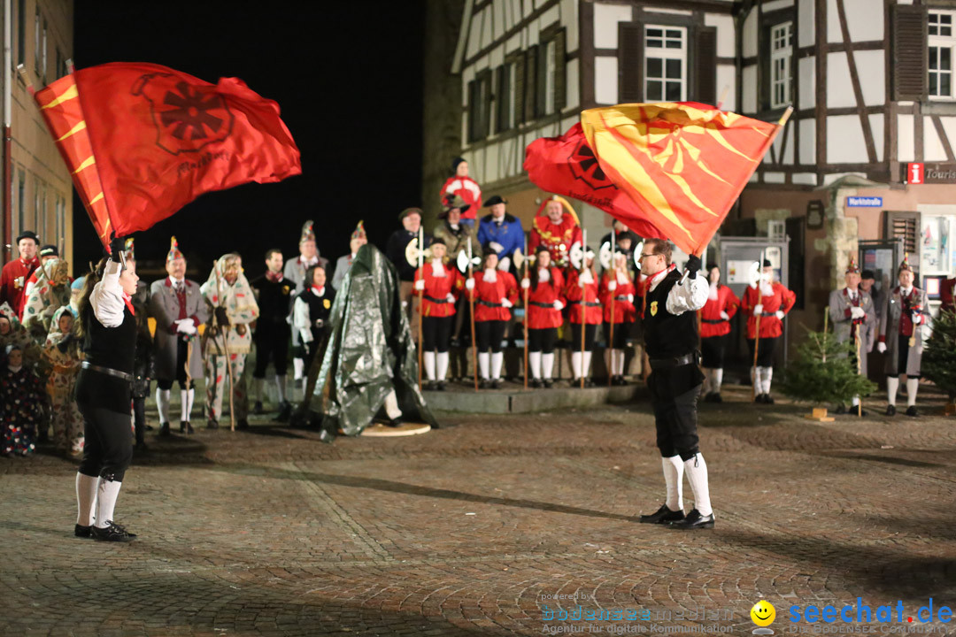 Narrenweckruf: Markdorf am Bodensee, 06.01.2014