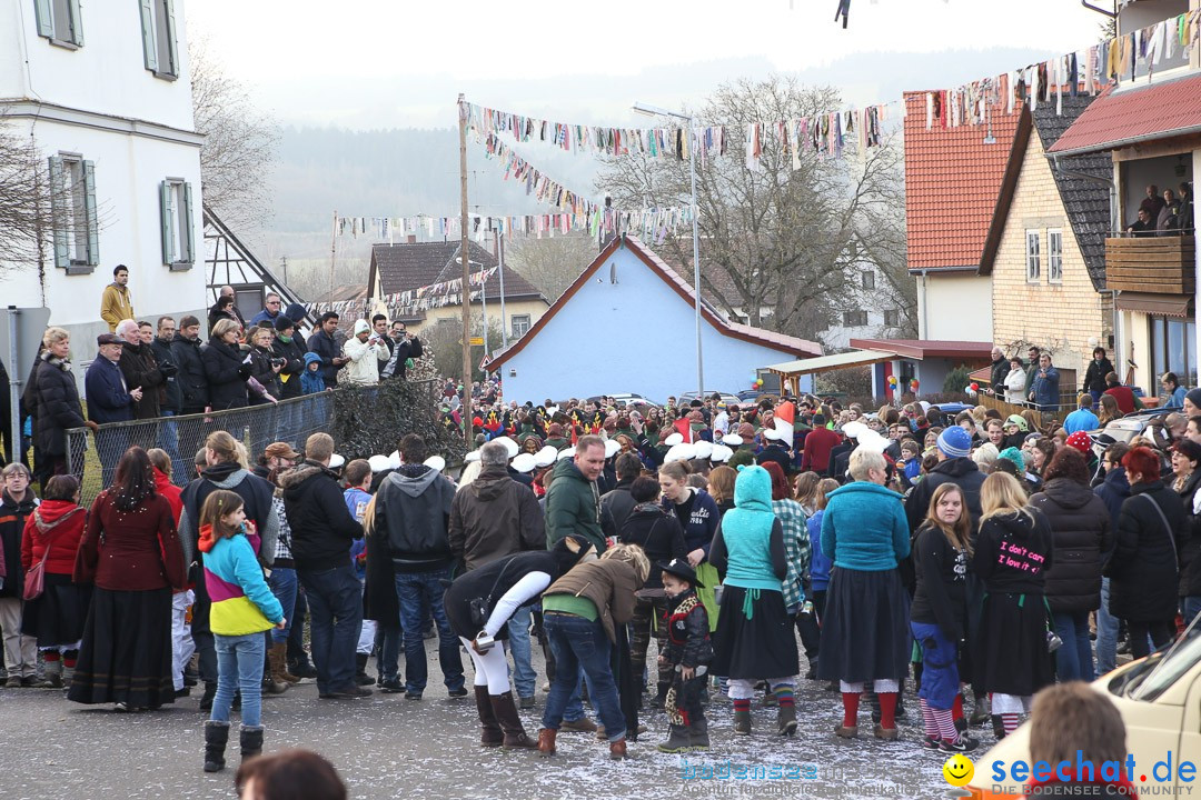 Narrensprung: Hasenweiler am Bodensee, 12.01.2014